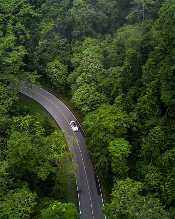 Aeiral shot of a car driving through a road in dense forest